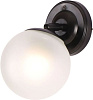 Светильник настенный 13189/1wBK WT E27, 40W, до 3 м² купить в СОМ