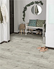Линолеум полукоммерческий IVC Greenline Belfort Oak 593 4м купить в СОМ